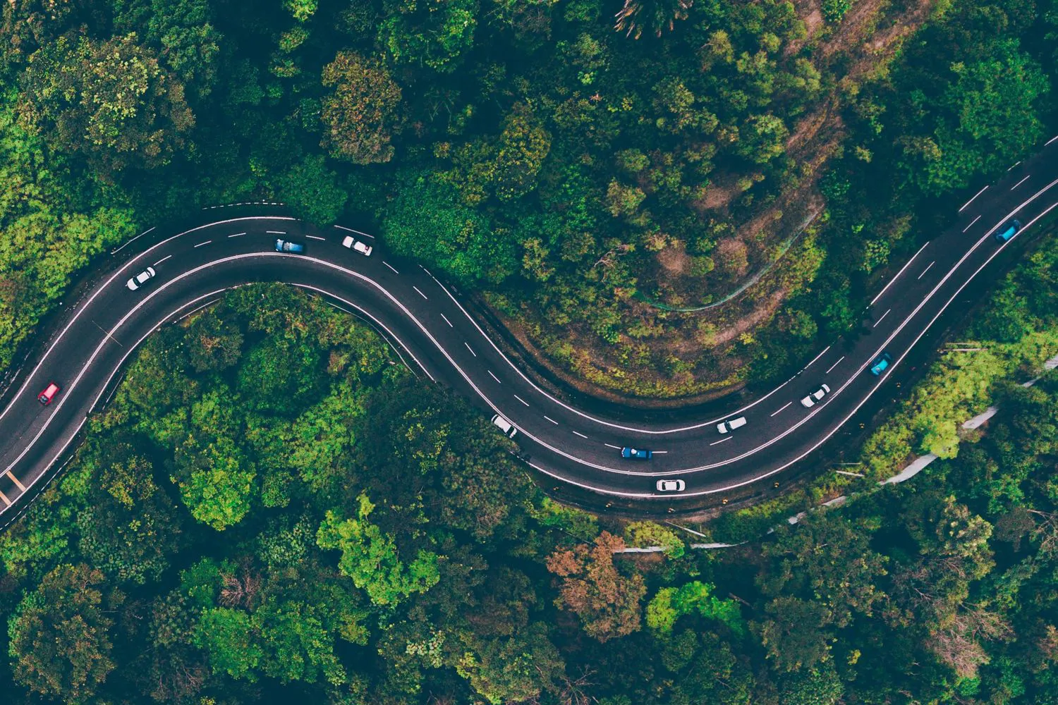 Roadmap